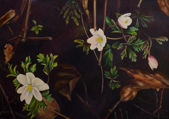 Ein Frühlingstag im Wald