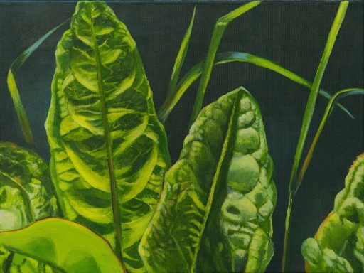 Blätter und Gräser