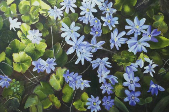 Look to the ground and see